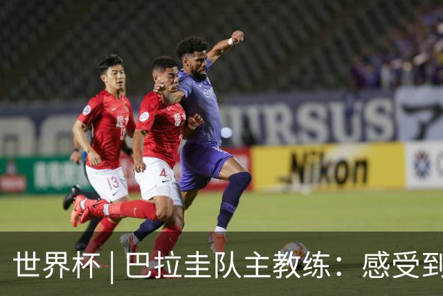 世界杯 | 巴拉圭队主教练：感受到比赛的极致压力