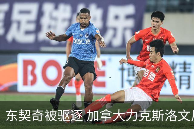 东契奇被驱逐 加拿大力克斯洛文尼亚晋级四强