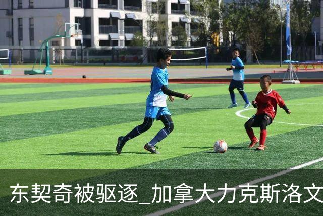 东契奇被驱逐 加拿大力克斯洛文尼亚晋级四强